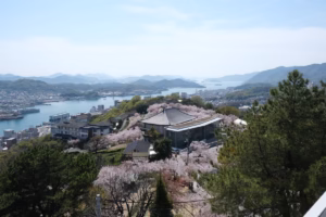 尾道美術館周圍的櫻花