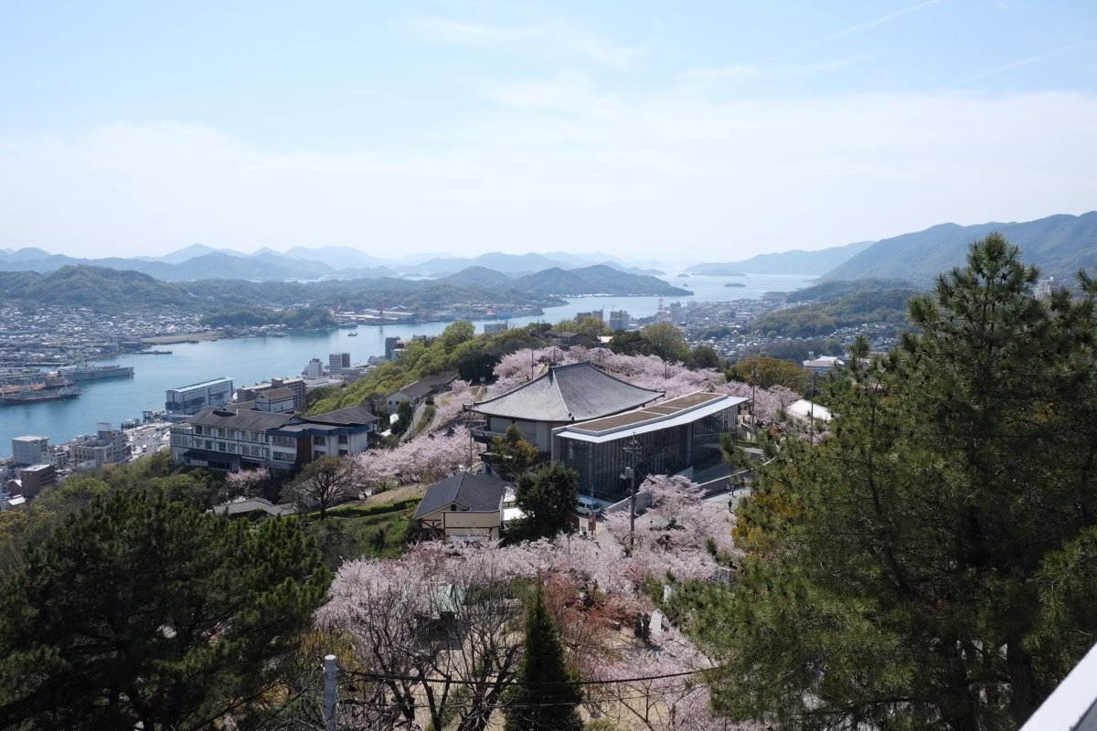 日本廣島｜尾道一日散策行程。櫻花、千光寺纜車、貓之細道、貓貓大戰警衛。