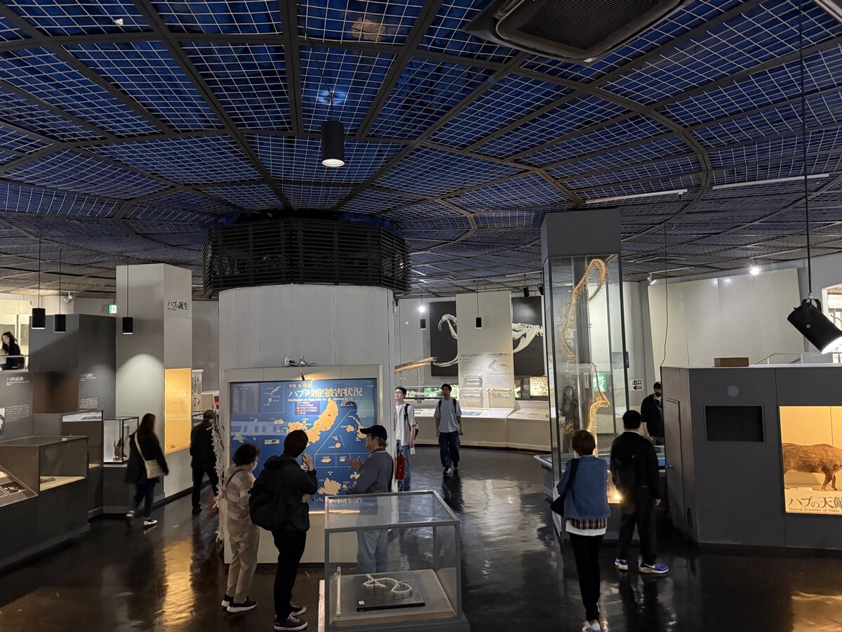 沖繩文化王國的毒蛇博物館 館內展示