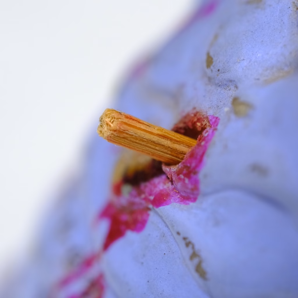 七工匠 7Artisans 60mm f/2.8 Macro II 開箱-實拍照4 牙籤的斷面